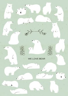 the polar bears are all different sizes and shapes