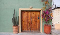 two potted plants are next to a wooden door