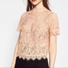 Zara Trafaluc Embroidered Lace Light Pink Blouse. Top With Funnel Collar. Short Sleeves. Front Embroidery And Lace. Back Zip Closere. Color: Light Pink Composition ~Outer Shell Main Fabric: 53% Nylon - 45% Visose - 2% Other Fibres Embroidery : 2% Nylon ~ 98% Polyester Sold Out Store And Online Box#10 Chic Lace Tops With Floral Embroidery, Chic Lace Top With Floral Embroidery, Chic Floral Embroidery Lace Top, Lace Blouse With Floral Embroidery, Elegant Short Sleeve Lace Top For Spring, Elegant Short Sleeve Lace Tops, Chic Embroidered Top With Lace Trim, Chic Embroidered Lace Top For Spring, Chic Embroidered Fitted Top With Lace Trim