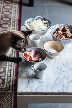 a cat standing on top of a table next to bowls and cups filled with food