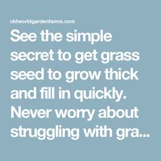 the words, see the simple secret to get grass seed to grow thick and fill in quickly