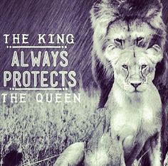 two lions standing next to each other in front of a blue and white background with the words, the king always protects the queen