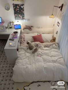 a dog laying on top of a bed next to a desk with two laptops