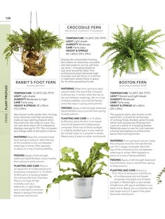 a brochure with plants in it and instructions on how to care for them