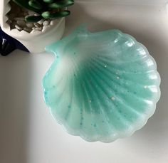 a sea shell shaped glass dish next to a succulent plant on a white surface