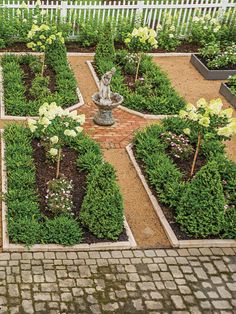 a garden with many different types of plants