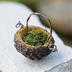 a small basket filled with moss sitting on top of a rock