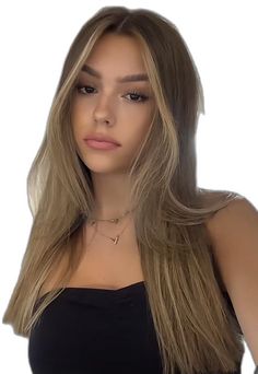 Hair Color For Tan Skin Tone, Brown Hair Streaks, Hair Color For Tan Skin, Dark Brown Hair With Blonde Highlights, Hair Inspiration Long, Balayage Hair Dark