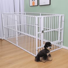 a black and white dog sitting in front of a large metal gate on the floor