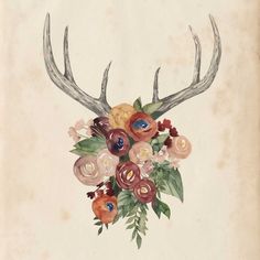 Flower Antlers I Poster Print - Grace Popp-VARPDX117544GG Image 1 Flower Antlers, By Grace, Artist Canvas, Trademark Fine Art, Antlers, Wrapped Canvas Art, Graphic Art Print, Floral Art, Painting Prints