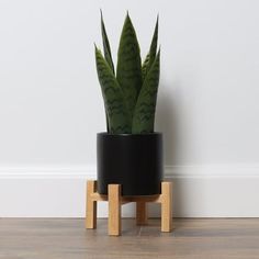 a potted plant sitting on top of a wooden stand next to a white wall