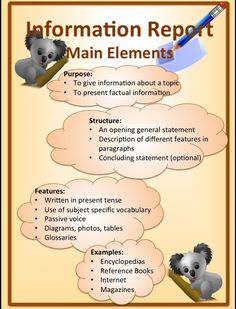 information report with koalas and other animals in the text box, including an info sheet