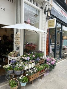 an outdoor flower shop with potted plants outside