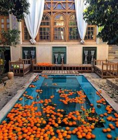 an indoor swimming pool with oranges floating in it