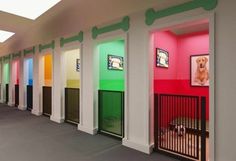 there are many different colored doors in the hallway with dogs on them and pictures on the walls