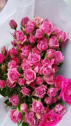 a bouquet of pink roses on a white cloth