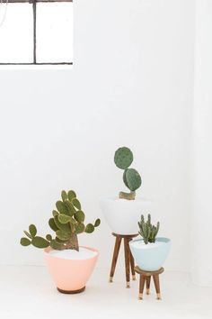 three potted plants sitting next to each other on top of a white table in front of a window