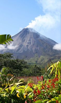 Palms hawai vulcano summer Arenal Volcano, Simple Things In Life, Simple Things, Nature Aesthetic, Island Life, Nature Travel