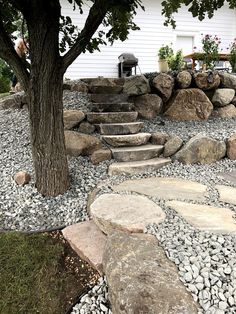 a tree and some rocks in front of a house