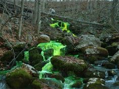 a stream running through a forest filled with lots of green mossy rocks and trees