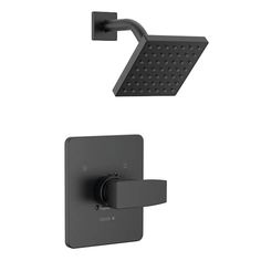 thermostaer with shower head and handset in matte black finish by delta