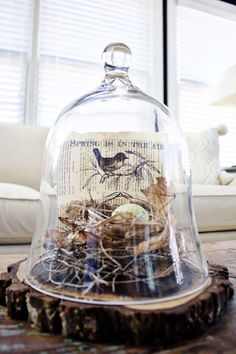 a glass clochel with birds under it on top of a wooden table in front of a window