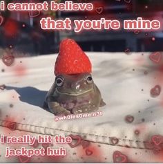 a frog with a strawberry hat on its head