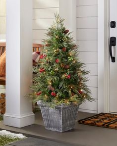 a potted christmas tree with red berries and pine cones on the outside of it