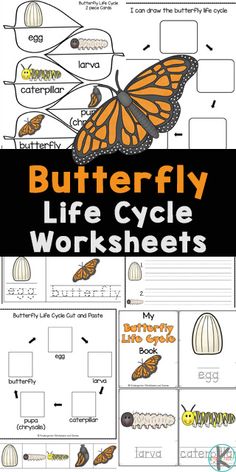 the butterfly life cycle worksheet for kids to learn how to write and draw