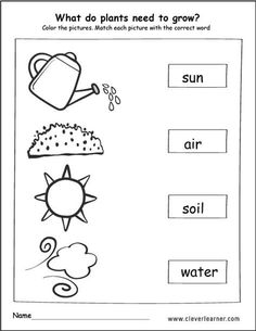 what do plants need to grow worksheets for preschools and kindergartens Plants Kindergarten, Kindergarten Science Activities, Plant Lessons, Plant Germination, Plants Worksheets, Kindergarten Projects, Plant Activities, Preschool Science Activities, First Grade Worksheets