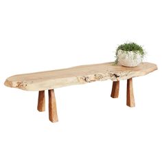 a wooden bench with a potted plant sitting on it's end, against a white background