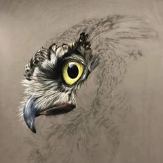 an owl's eye is reflected in the water as it looks like he has yellow eyes