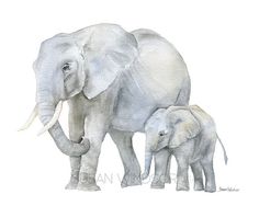 an elephant and her baby are shown in this watercolor painting by artist susan grisell