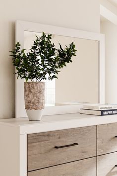 a potted plant sitting on top of a white dresser next to a book and mirror