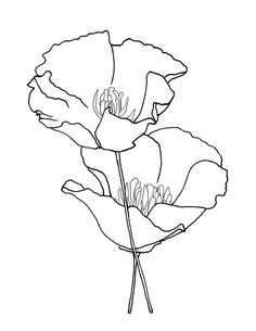 the outline of a flower is shown in black and white, with one large flower on it