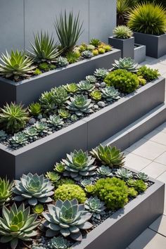 some plants are growing on the side of concrete steps in front of a building with grey walls