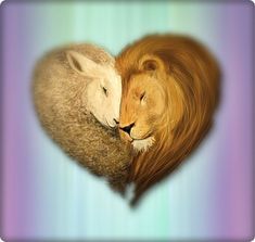 two lions cuddling in the middle of a heart shaped photo with blurry background