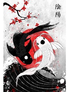 two koi fish swimming in front of a red and white background with cherry blossoms