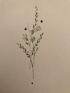 a black and white drawing of some flowers