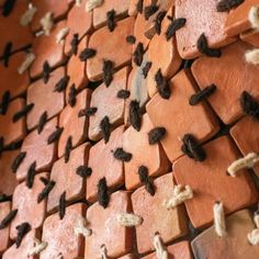 the wall is made up of red bricks with black crosses on them and white dots