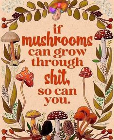 Fermented Mushrooms, Full Spectrum, Pretty Quotes, The Words, Meaningful Quotes, Wisdom Quotes, Cat Memes, Positive Affirmations, Inspire Me