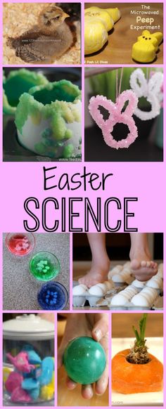 an easter science activity for kids with pictures of eggs, flowers and other things to make