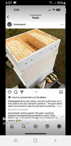 an image of a beehive being used on the internet to search for honeybees