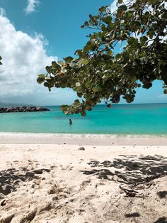 the beach is clean and clear for us to see