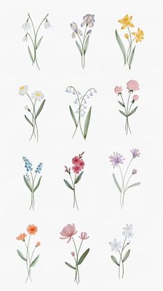 various flowers are shown in different colors and sizes on a white background with the words,'wildflowers '