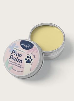 an open tin of paw balm on a white background