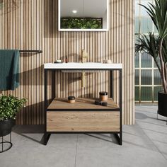 a bathroom with a sink, mirror and potted plant