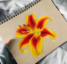 a drawing of a yellow and red flower on a piece of paper next to a person's hand