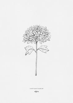 a black and white drawing of a flower