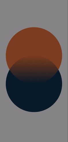 an orange and black circle on a gray background